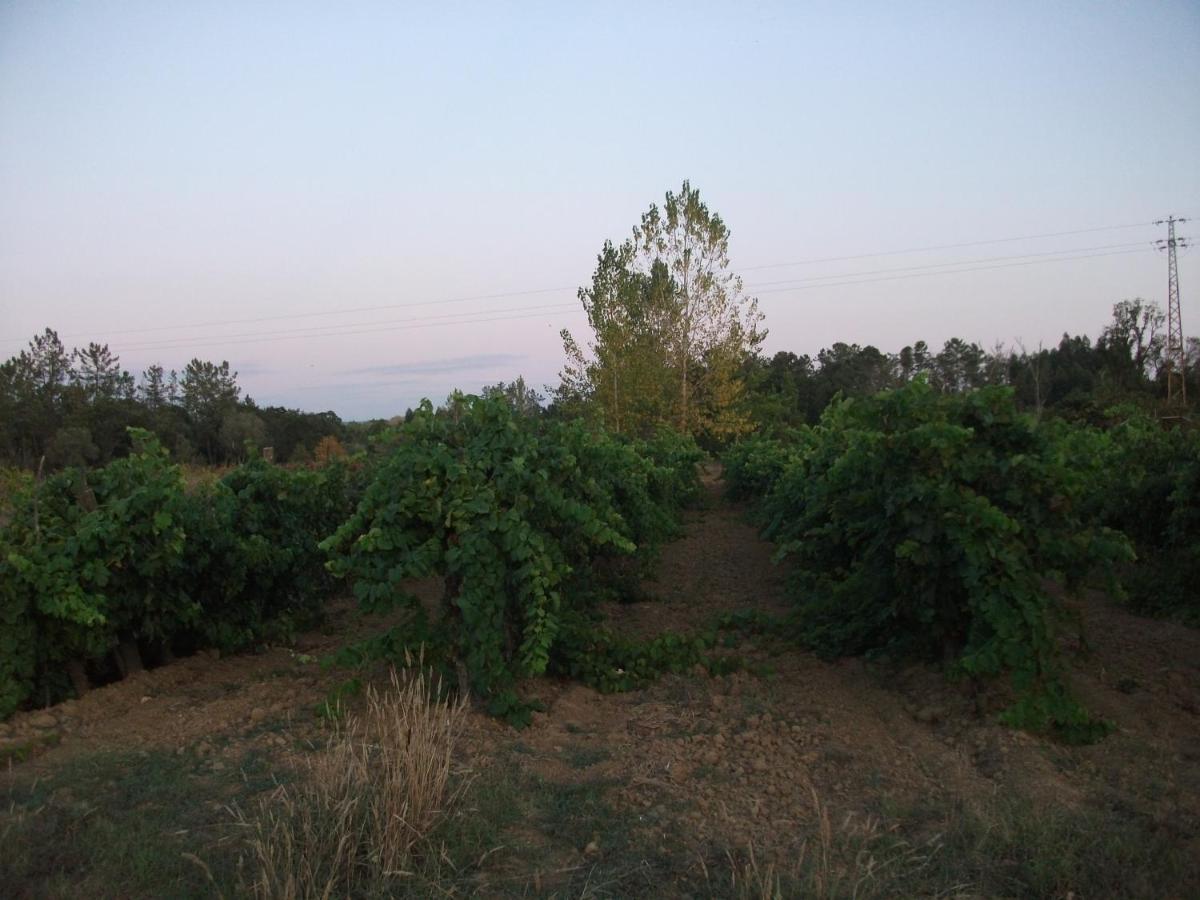 Casa Branca Βίλα Mealhada Εξωτερικό φωτογραφία