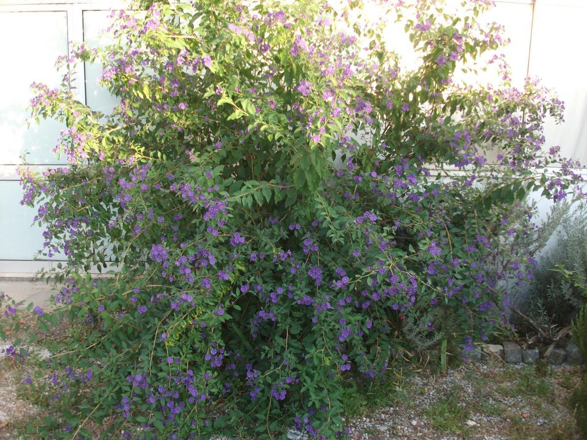 Casa Branca Βίλα Mealhada Εξωτερικό φωτογραφία